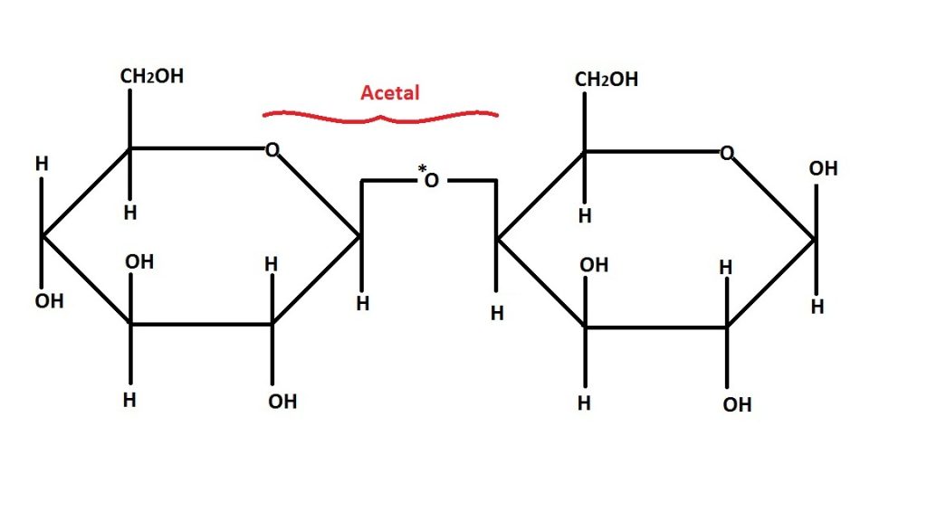 carbohydrates 