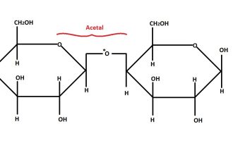 carbohydrates