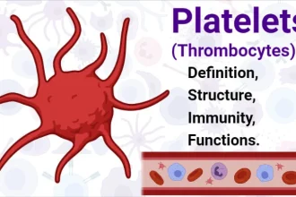 Platelets