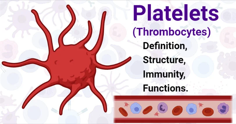 Platelets