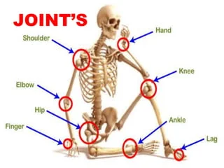 joint system